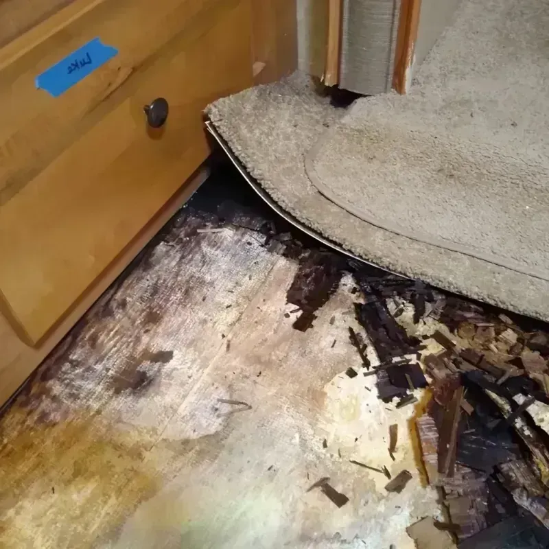 Wood Floor Water Damage in Welcome, SC